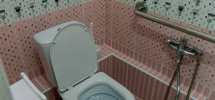 Meeting Diverse Needs With Accessible Restroom Solutions in Converse, TX